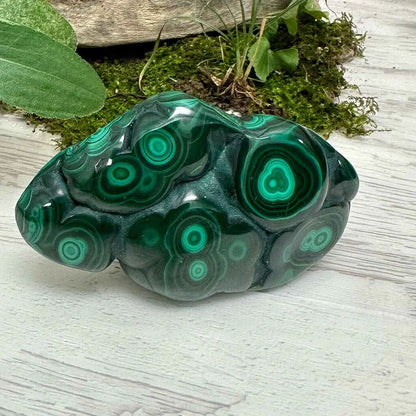 2.9" Malachite Polished N