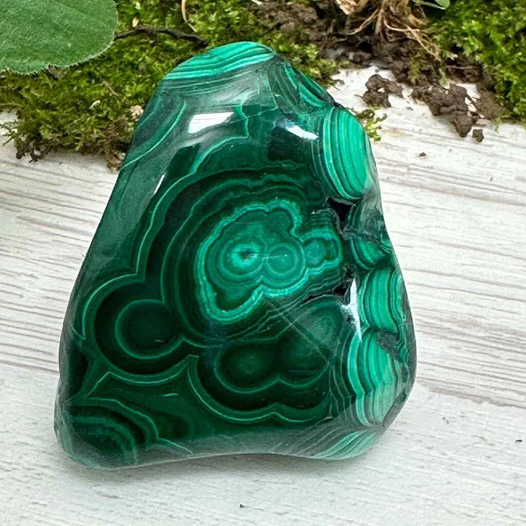 1.6" Malachite Polished O