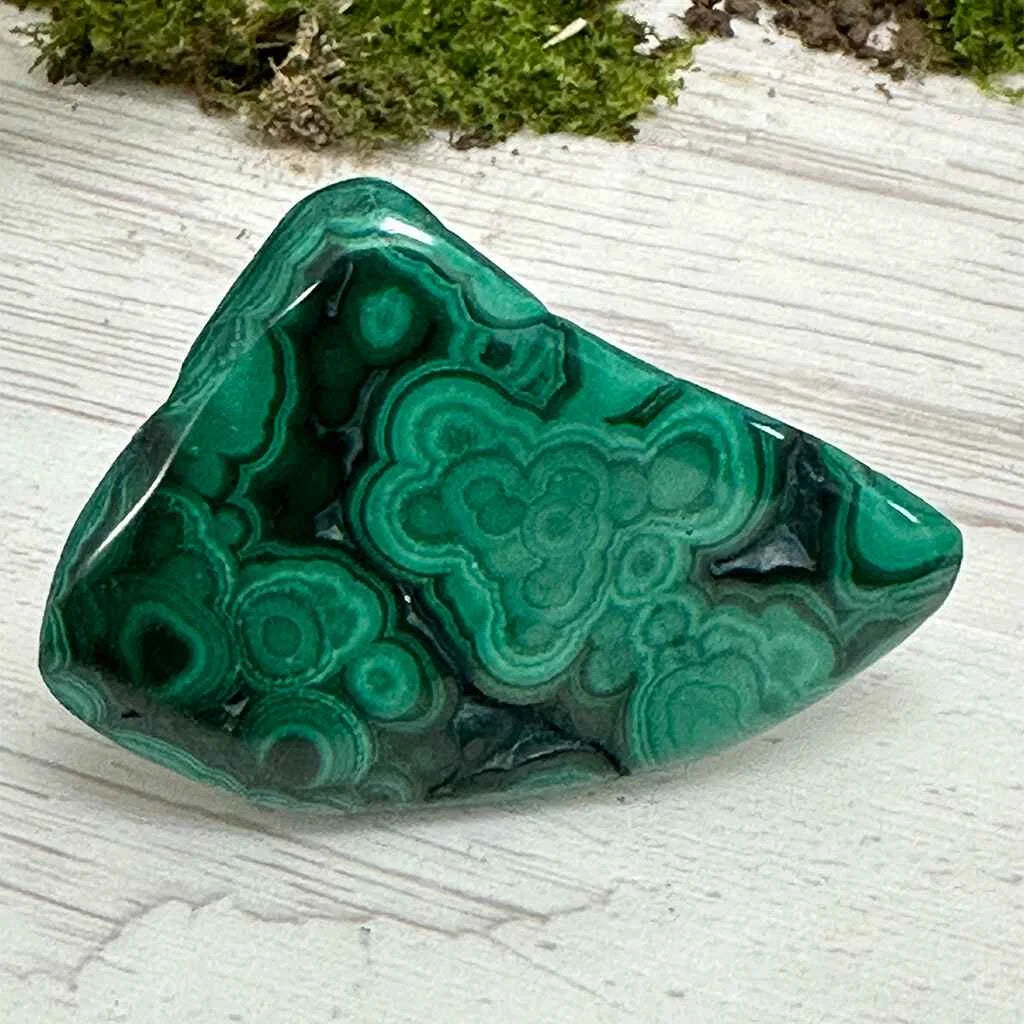 1.50" Malachite Polished S