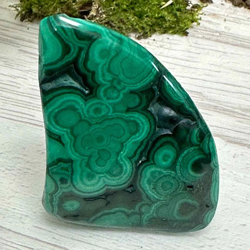 1.50" Malachite Polished S