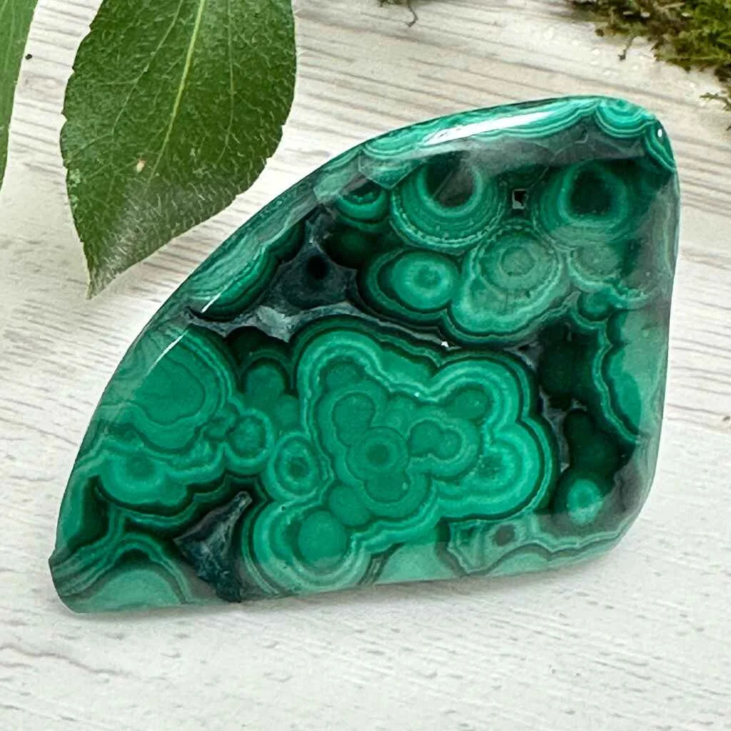 1.50" Malachite Polished S