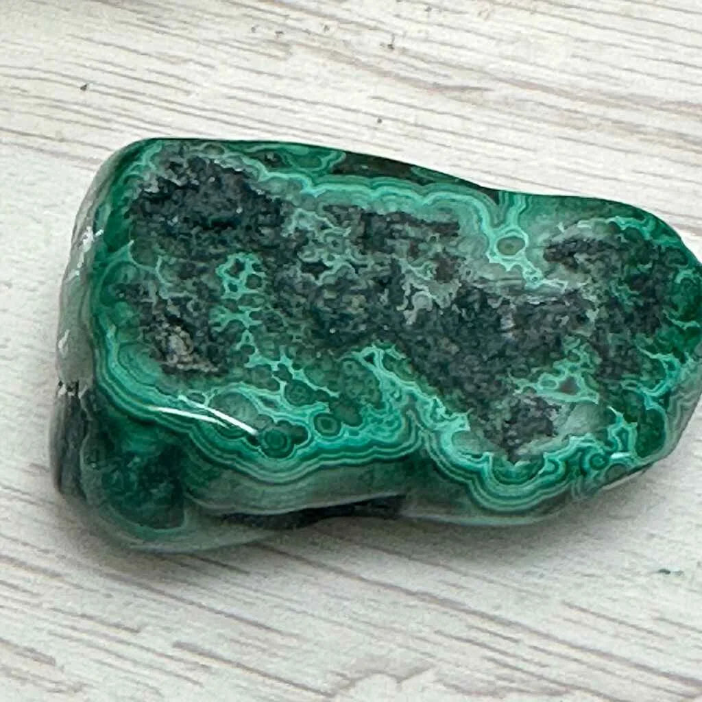 1.5" Malachite Polished U