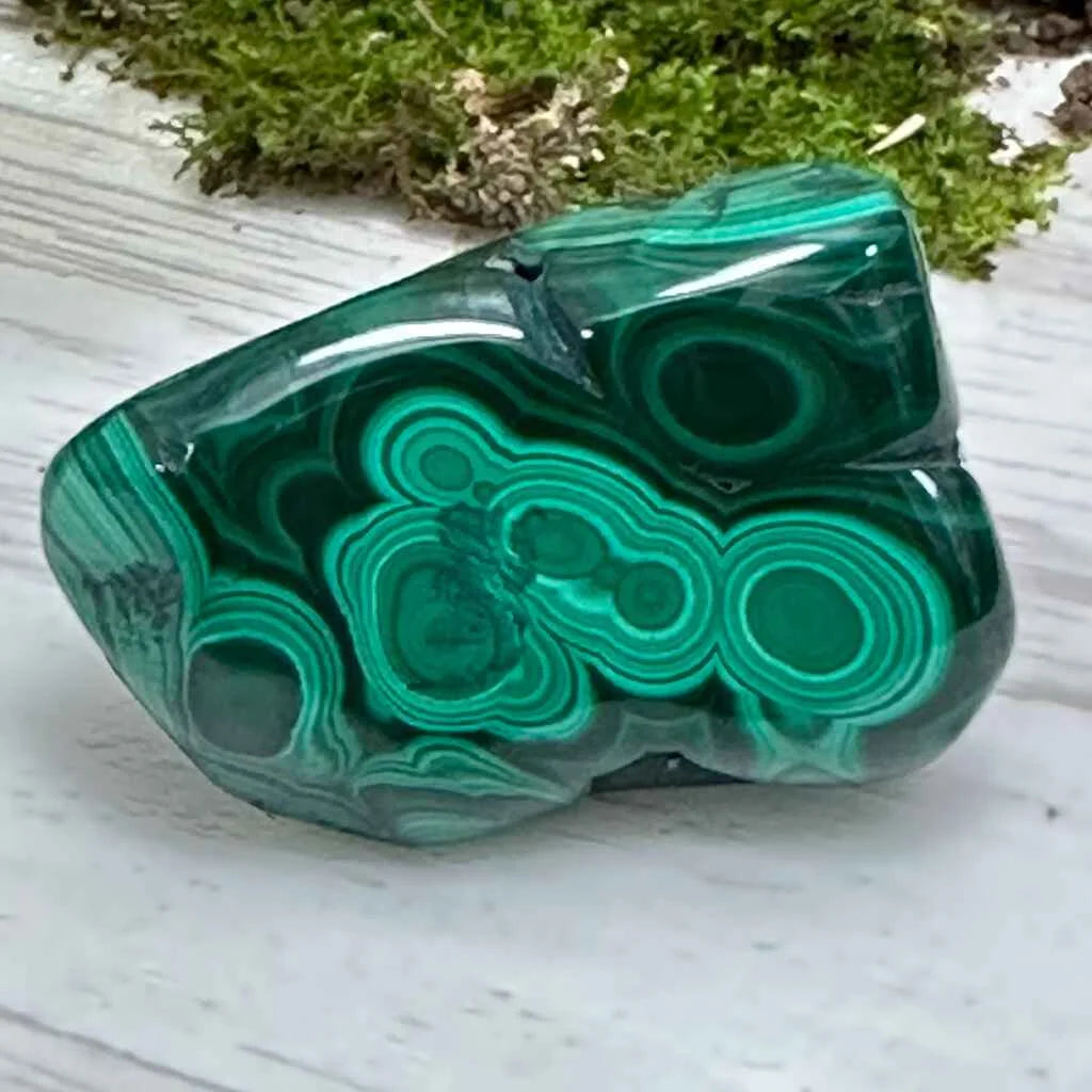 1.5" Malachite Polished U