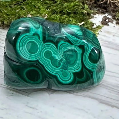 1.5" Malachite Polished U