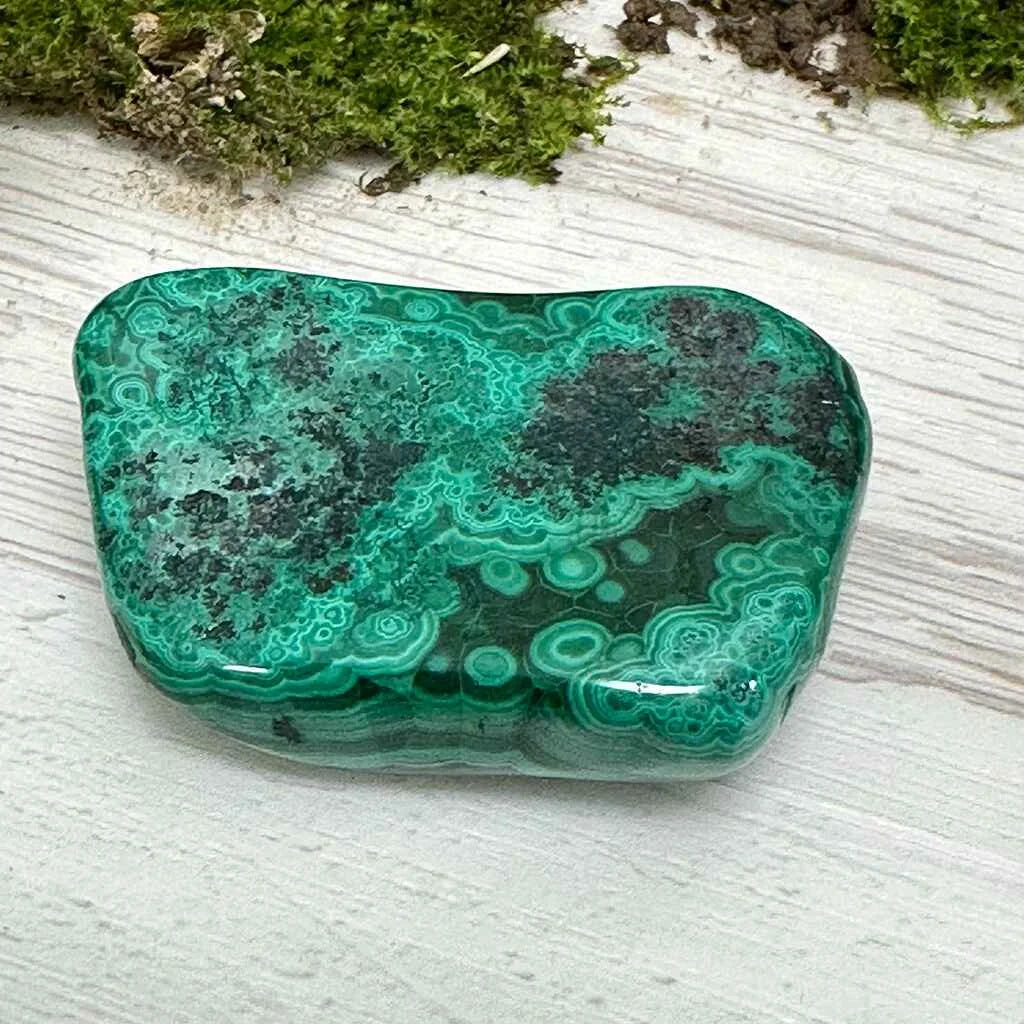 1.75" Malachite Polished V