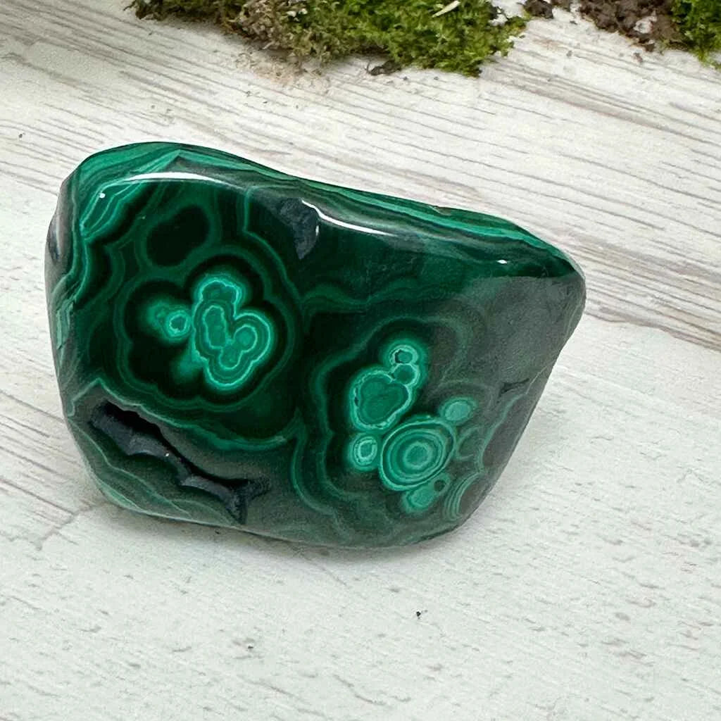 1.75" Malachite Polished V