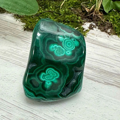 1.75" Malachite Polished V