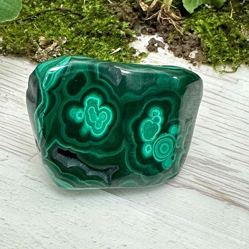 1.75" Malachite Polished V