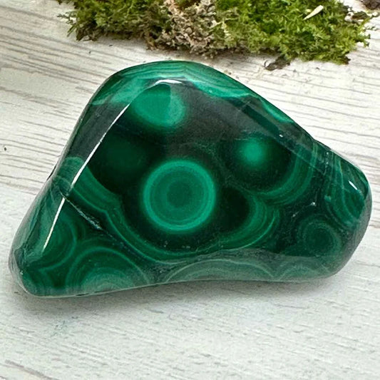 1.75" Malachite Polished W