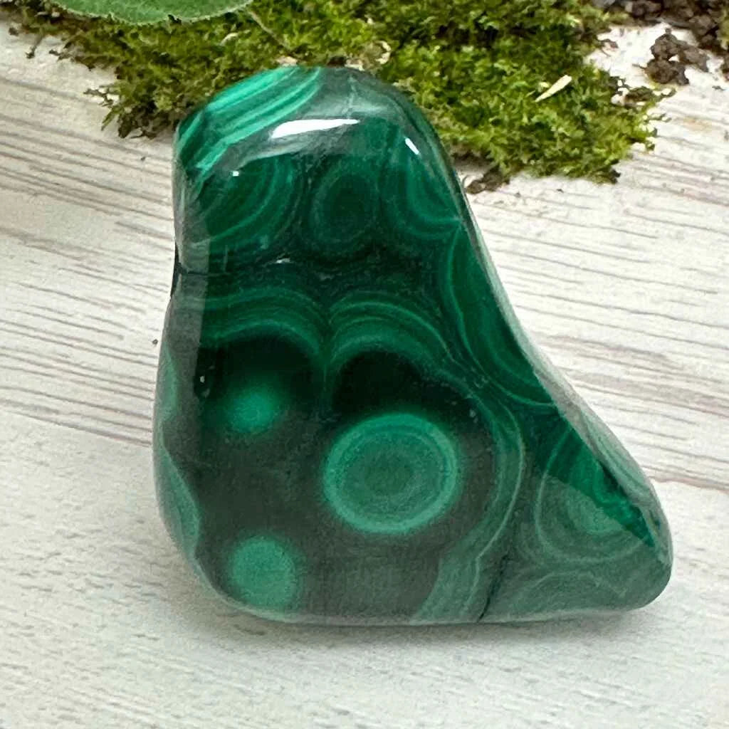 1.75" Malachite Polished W