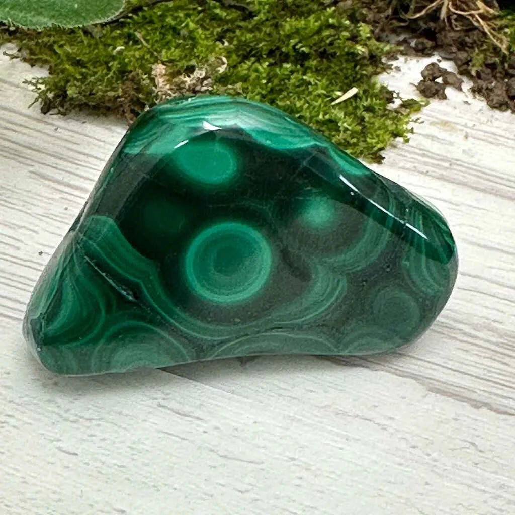 1.75" Malachite Polished W