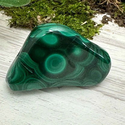 1.75" Malachite Polished W