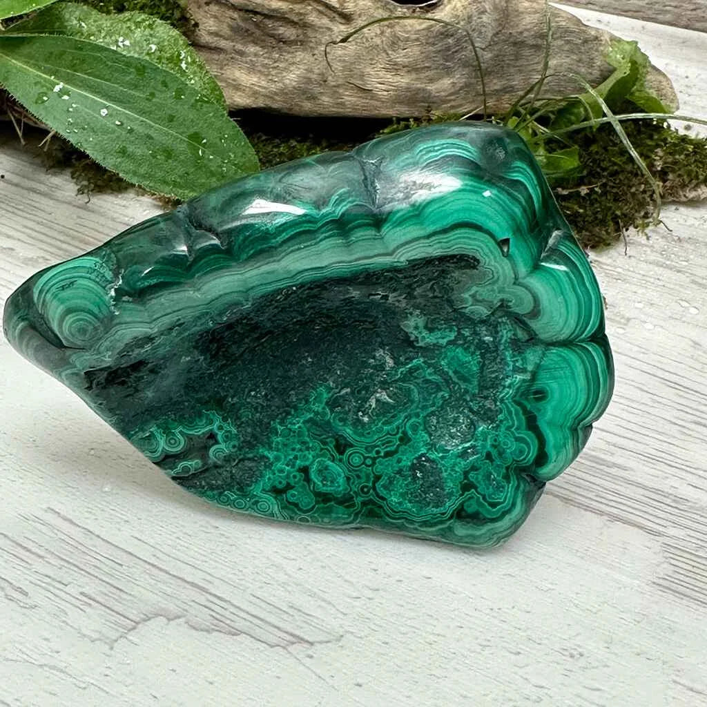 2.75" Malachite Polished E