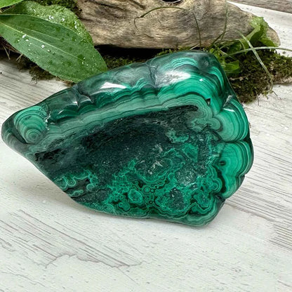 2.75" Malachite Polished E