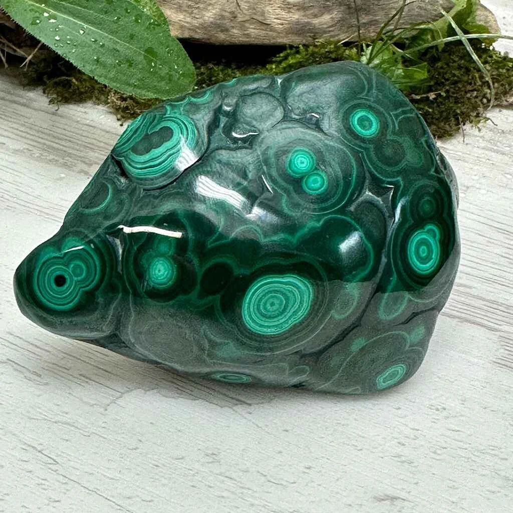 2.75" Malachite Polished E