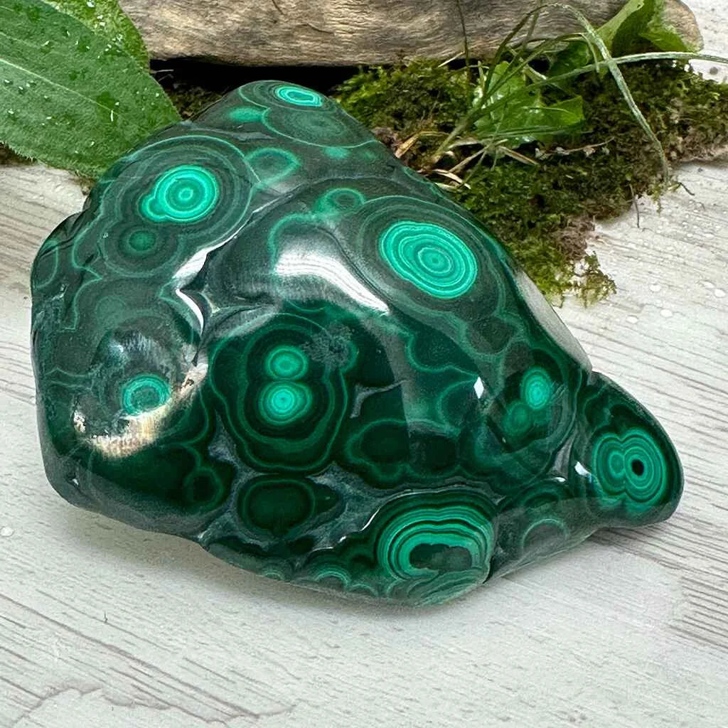 2.75" Malachite Polished E