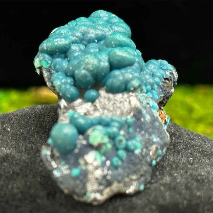 1.75" Botryoidal Chrysocolla on Quartz B