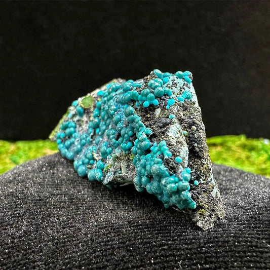 1.9" Botryoidal Chrysocolla on Quartz C