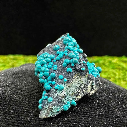 1.6" Botryoidal Chrysocolla on Quartz D