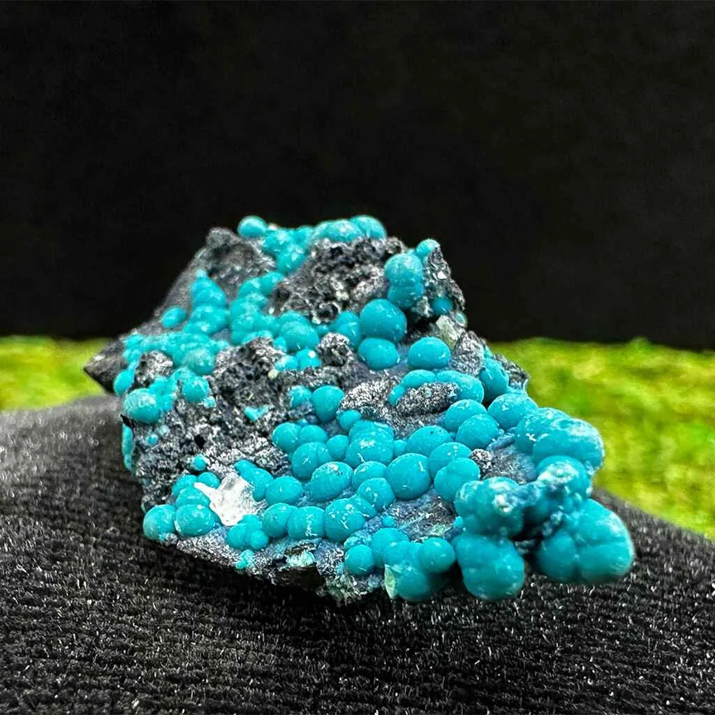 1.6" Botryoidal Chrysocolla on Quartz D