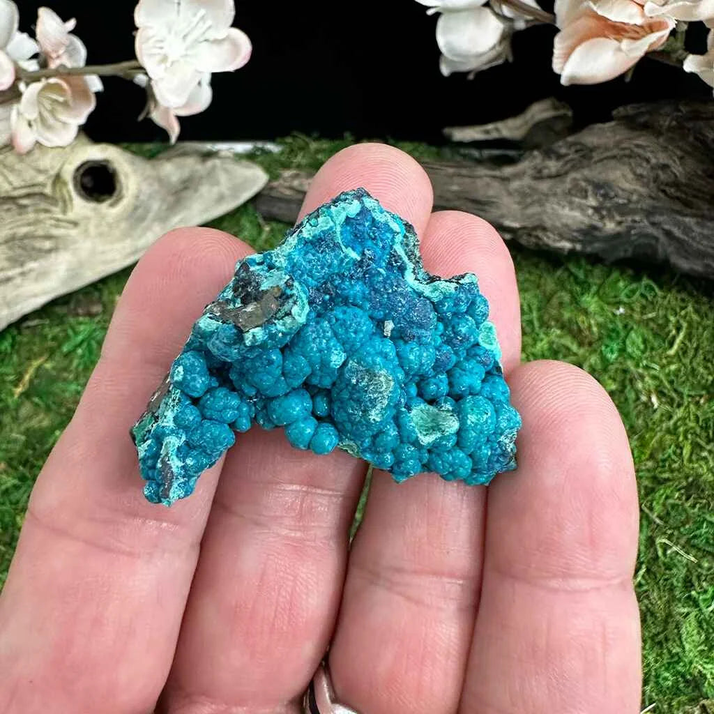 1.75" Botryoidal Chrysocolla on Quartz E