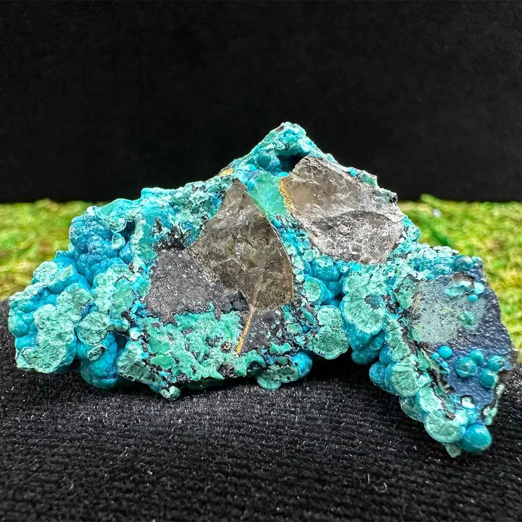 1.75" Botryoidal Chrysocolla on Quartz E