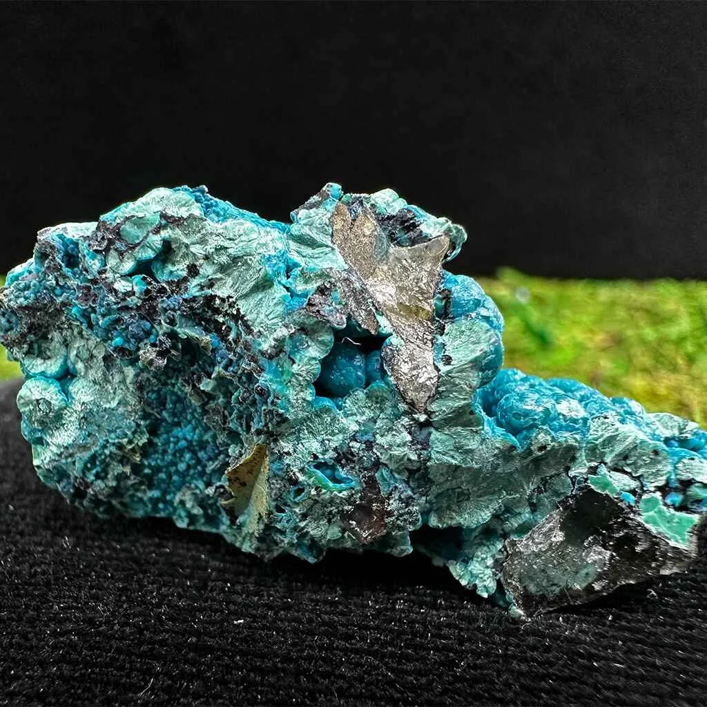 1.75" Botryoidal Chrysocolla on Quartz E