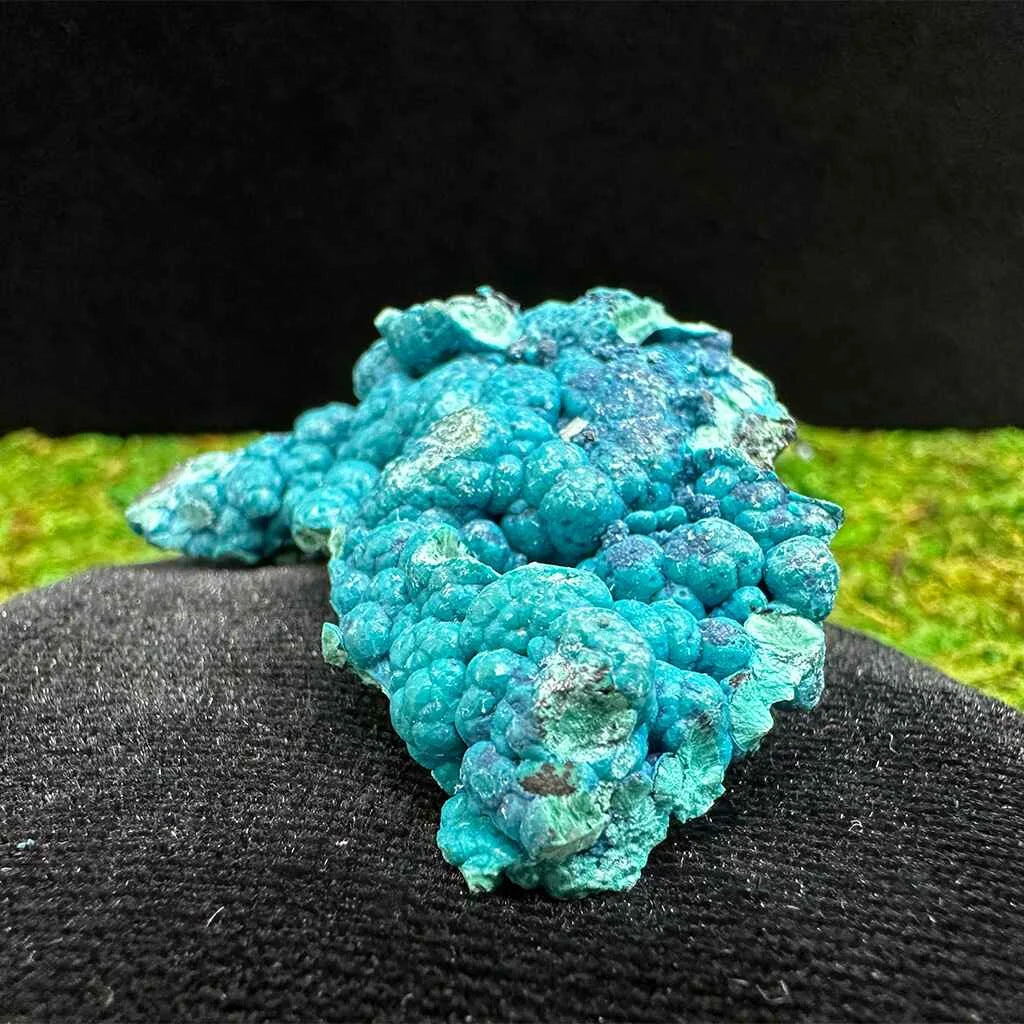 1.75" Botryoidal Chrysocolla on Quartz E