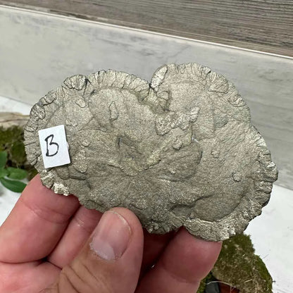 3.50" Pyrite Sun-Flower B