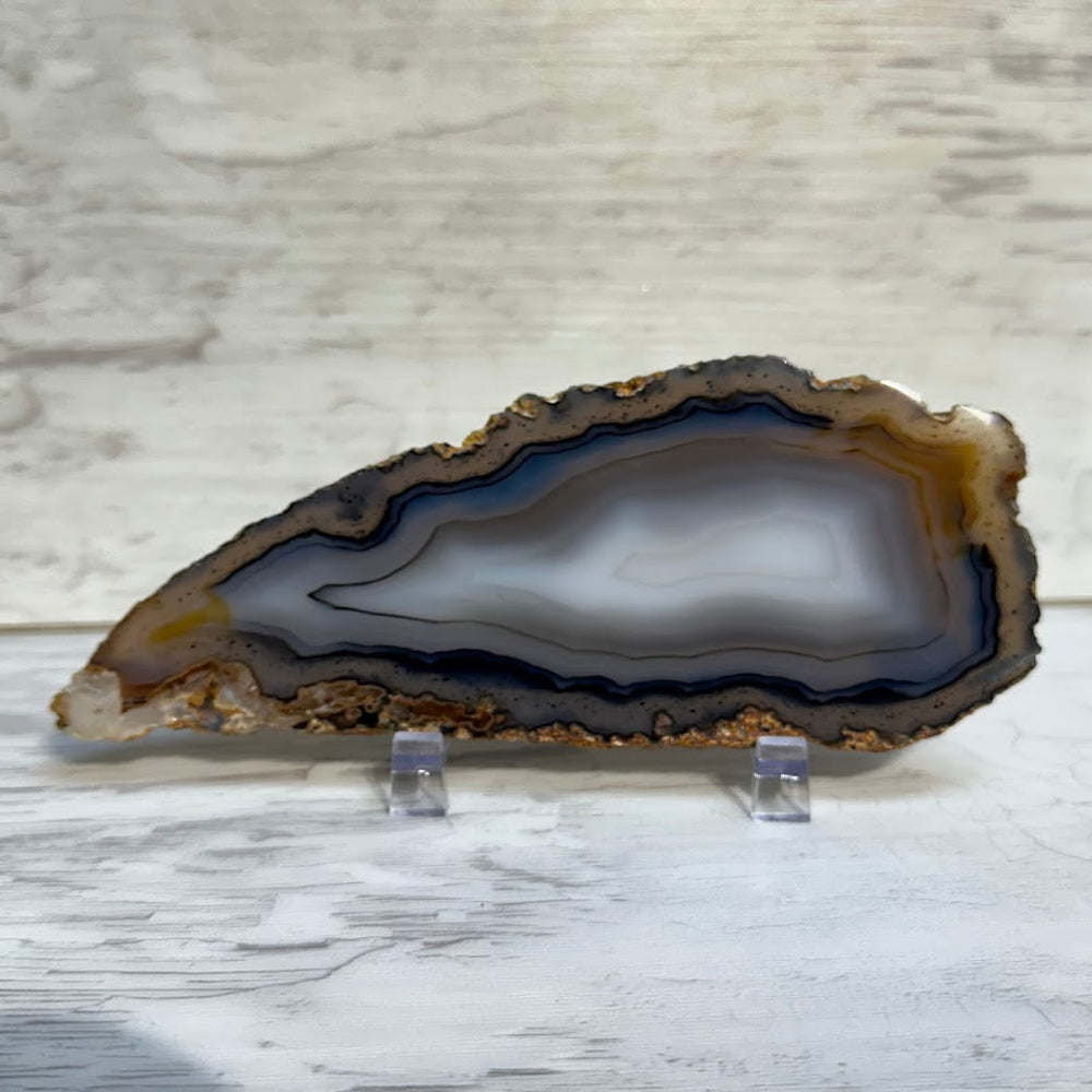 Reverse Side of Brazilian Agate Slice with Blue Gray White Banding