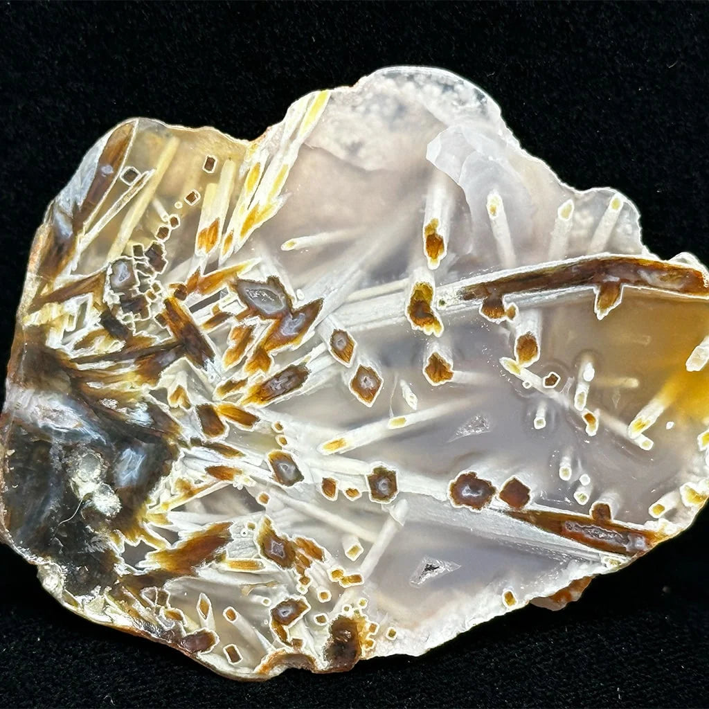 2.5" Turkish Agate A