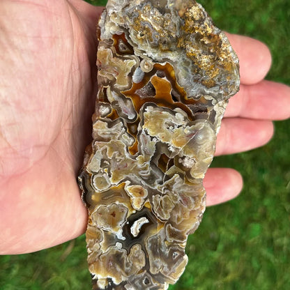 2.75" Turkish Agate D