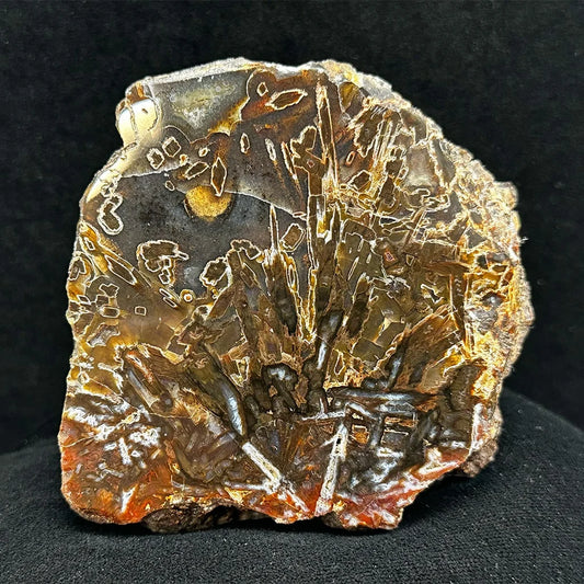 3" Turkish Agate F