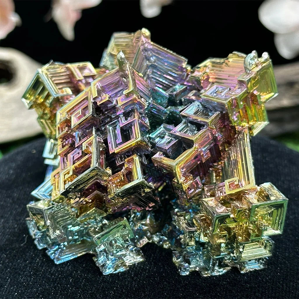 3" Large Bismuth B