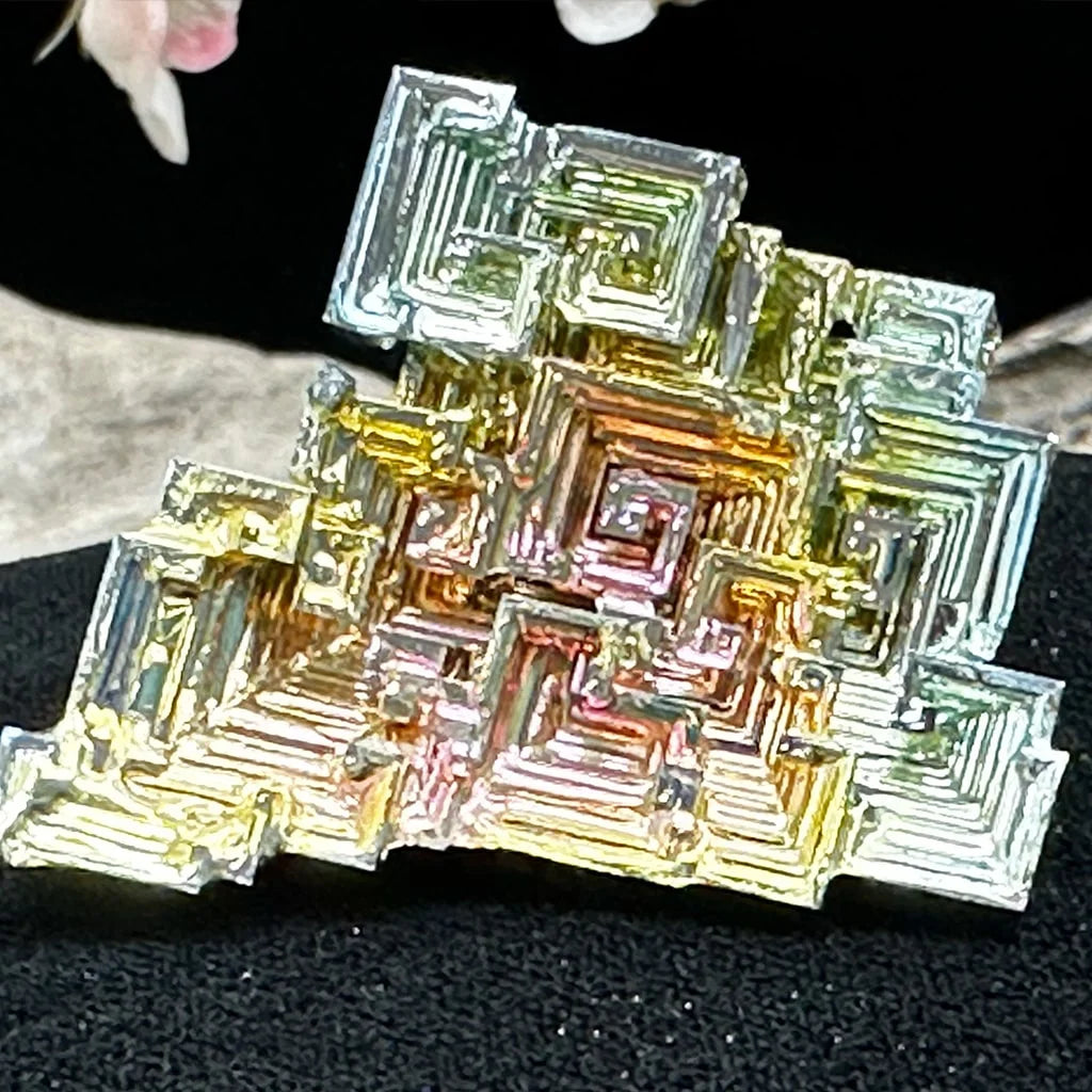 1.75" Medium Bismuth B