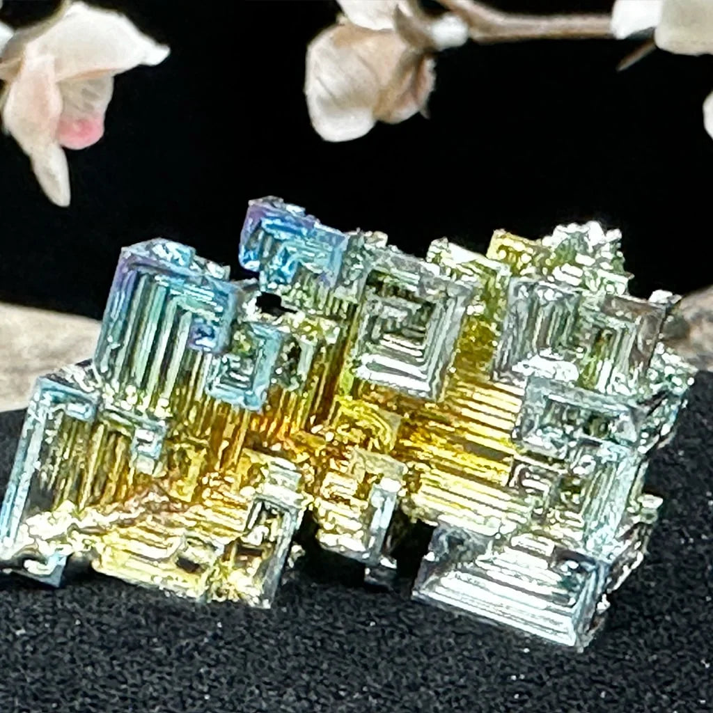 1.75" Medium Bismuth B