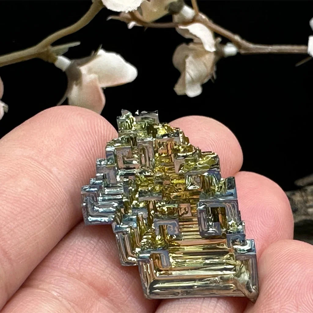 1.5" Small Bismuth B