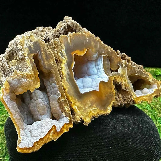 3.5" Agatized Fossilized Coral B