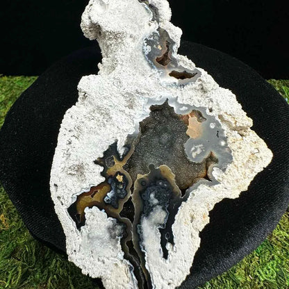 4.5" Agatized Fossilized Coral E