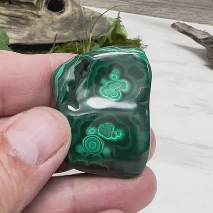 1.75" Malachite Polished V