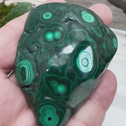 2.75" Malachite Polished E