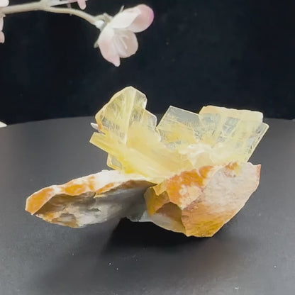 2.5" Glass Windowpane Yellow Barite C