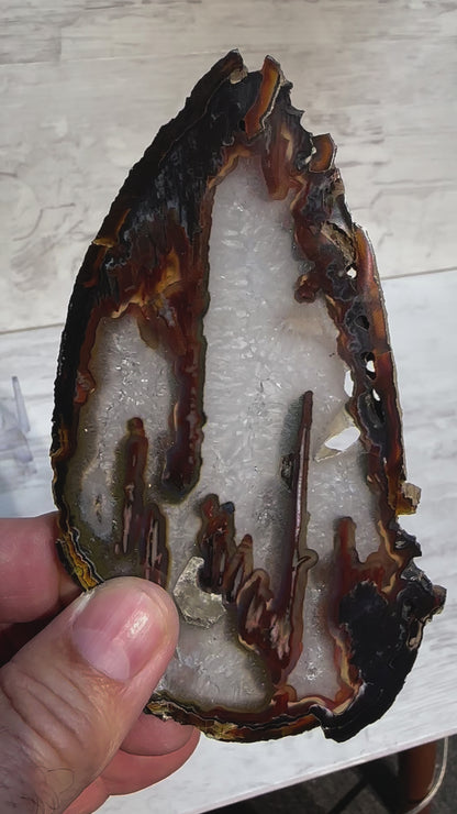 Sliced Agate from Brazil -T