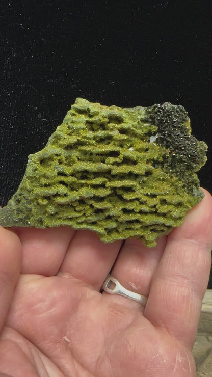 Green Forest Epidote  B