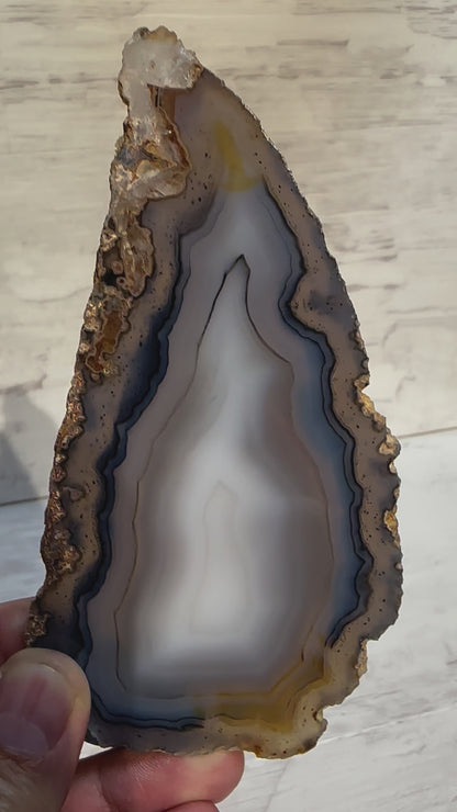 Sliced Agate from Brazil -Z