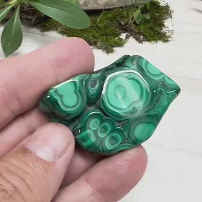 1.75" Malachite Polished J