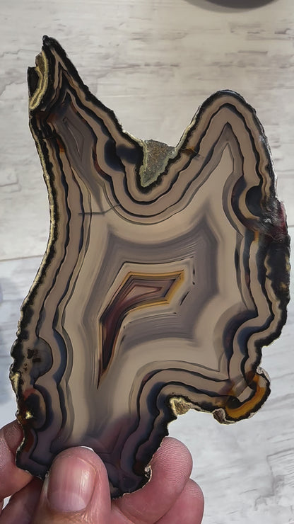 Sliced Agate from Brazil -O