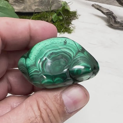 2.5" Malachite Polished G