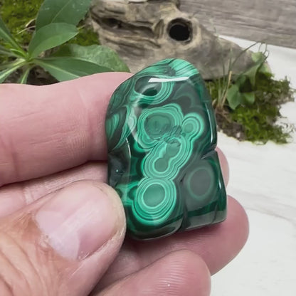 1.5" Malachite Polished U