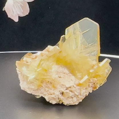 1.5" Glass Windowpane Yellow Barite D